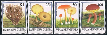 4Pcs/Nastaviť Nové Papua-Nová Guinea Post Pečiatka 1995 Húb, Plesní Pečiatky MNH
