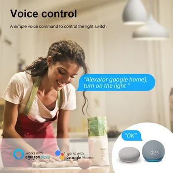 WiFi Smart Switch Bezdrôtový Hlas Diaľkové Svetlo Radič Smart Light Switch Istič Modul Pracuje s Alaxa Domovská stránka Google