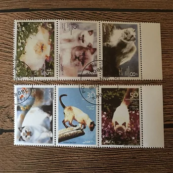 6Pcs/Set Afh Post Pečiatky 2003 Pet Mačky Používajú Post Označené Poštových Známok na Zber